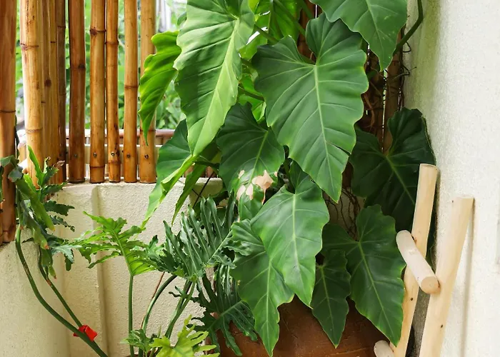 Quán Trọ Thanh Xuân Ở trọ Phan Thiết