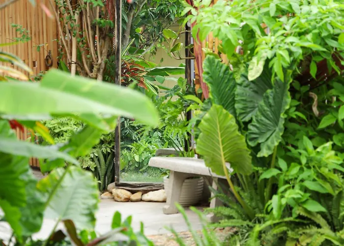 Homestay Quan Tro Thanh Xuan *