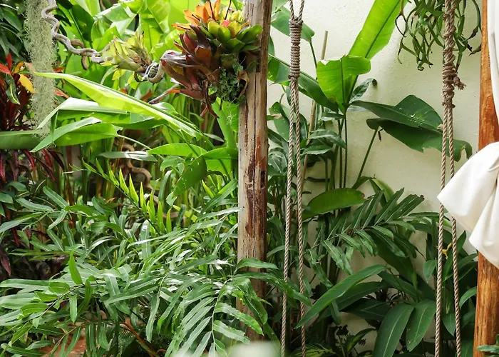 Quán Trọ Thanh Xuân