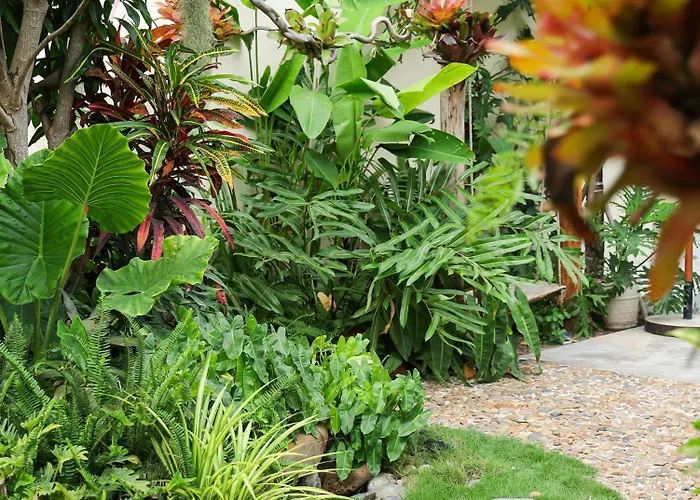 Quan Tro Thanh Xuan Homestay Phan Thiet
