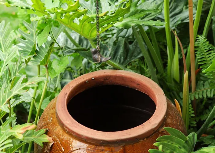 Ở trọ Quán Trọ Thanh Xuân